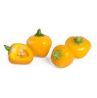 Mini peperone giallo ricarica Lingot per orto Véritable
