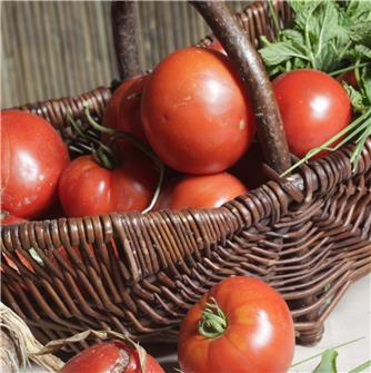 Come conservare il gusto dei nostri pomodori?